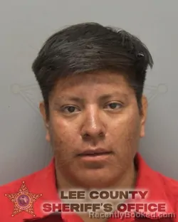 Mugshot of Maynor Mateo Pedro booked in Lee County, Florida on October 11, 2026