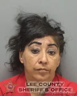 Mugshot of Ada Abigail Matias-Castillo booked in Lee County, Florida on October 13, 2026