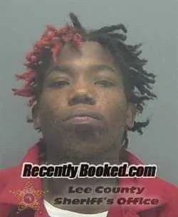 Booking photo from Lee County, Florida