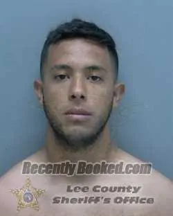 Booking photo from Lee County, Florida