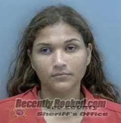 Booking photo from Lee County, Florida