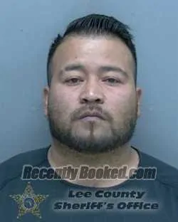 Booking photo from Lee County, Florida