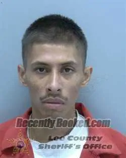 Booking photo from Lee County, Florida