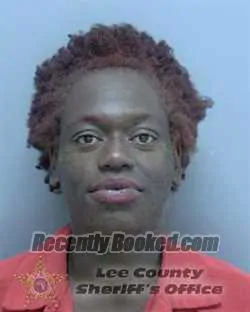 Booking photo from Lee County, Florida