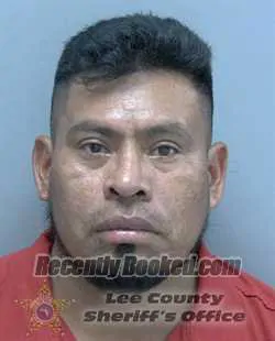Booking photo from Lee County, Florida