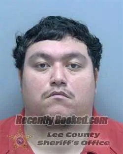 Booking photo from Lee County, Florida