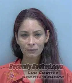 Booking photo from Lee County, Florida