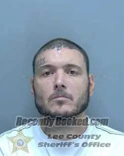Booking photo from Lee County, Florida