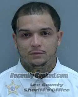 Booking photo from Lee County, Florida