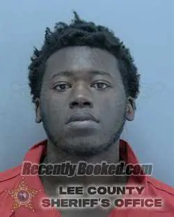 Booking photo from Lee County, Florida