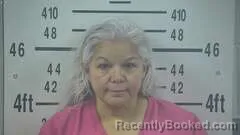 Mugshot of LEEANN ROBLES
