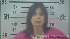Mugshot of ERIN WILSON