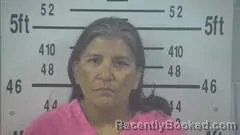 Mugshot of JENNIFER PEREZ