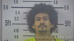 Mugshot of LEANDRE FIELD