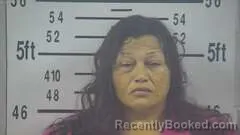 Mugshot of JOANNA NAVA booked in Kleberg County, Texas on April 29, 2026