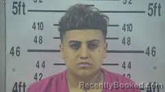 Mugshot of ANDREA PEREZ booked in Kleberg County, Texas on May 15, 2026