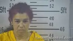 Mugshot of YVETTE GARZA booked in Kleberg County, Texas on May 24, 2026