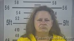 Mugshot of DONNA ELLIS booked in Kleberg County, Texas on June 8, 2026