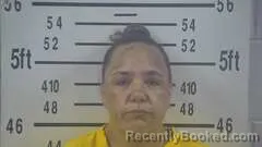 Mugshot of Jessica Trevino booked in Kleberg County, Texas on September 21, 2026