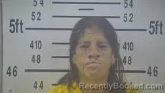 Mugshot of Maria Linares booked in Kleberg County, Texas on October 15, 2026