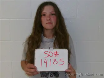 Mugshot of JESSICA ANNMARIE BROWN booked in Lavaca County, Texas on April 24, 2026