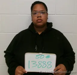 Mugshot of BRIANNA LA SHAE CUNNINGHAM booked in Lavaca County, Texas on March 17, 2026