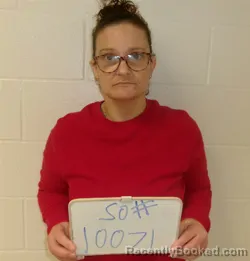 Mugshot of Taffie Anne Etoll booked in Lavaca County, Texas on August 7, 2026