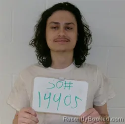 Mugshot of DIEGO ANTHONY FLORES