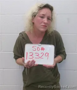 Mugshot of ASHLEY DANIELLE LESTER booked in Lavaca County, Texas on March 31, 2026