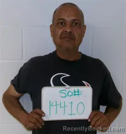 Mugshot of JUAN LEAL