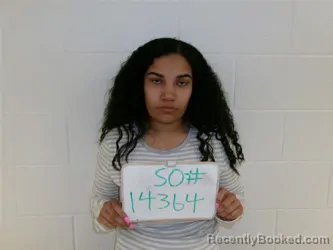 Mugshot of AMIA PALMER