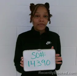 Mugshot of ASHLEY MICHELLE PITTS