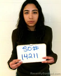 Mugshot of JAELYN SARAH SALINAS