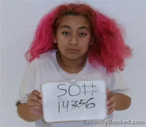 Booking photo from Lavaca County, Texas