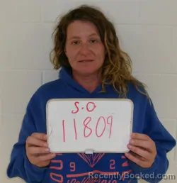 Mugshot of ASHLEY LYNN WEHMEYER booked in Lavaca County, Texas on April 4, 2026