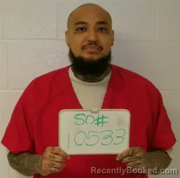 Mugshot of ERIC WAYNE WILLIAMS