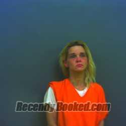 Booking photo from Lee County, Texas