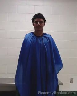 Mugshot of JEFFERSON GARCIA