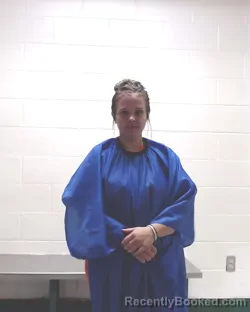 Mugshot of JENNIFER NICOLE PALMER