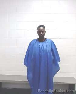 Mugshot of KAREN E DAVIS