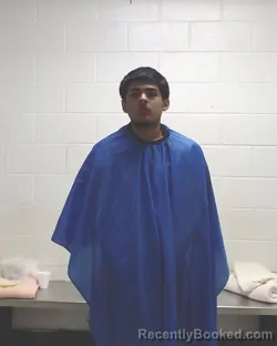 Mugshot of NIKLOAS JUNIOR TORRES