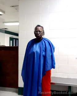 Mugshot of GAIL YVONNE WYATT