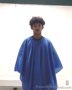 Mugshot of CAMRYNN JARELL GODFREY