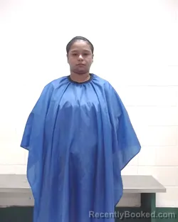 Mugshot of MARIA ANTONIETA SILVA