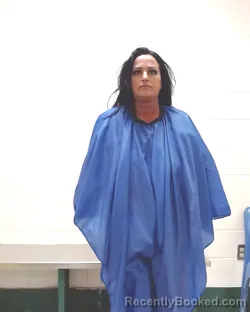 Mugshot of JENNIFER ESTELLE WILLIS