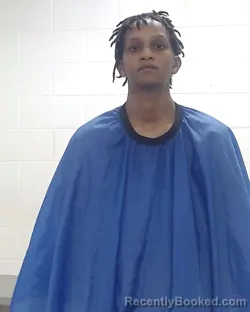 Mugshot of RAVEN MICHELLE ROBINSON booked in Liberty County, Texas on March 20, 2026