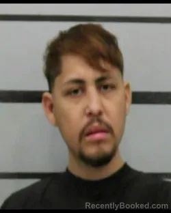 Mugshot of ABEL MISAEL ALVARADO