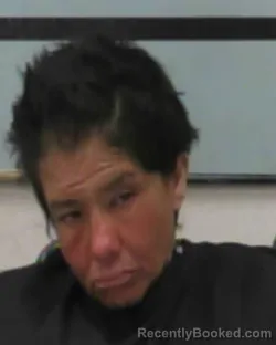 Mugshot of DONELL ANDRADE