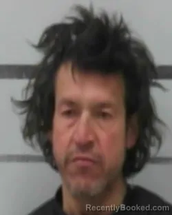 Mugshot of RODOLFO ALANIZ