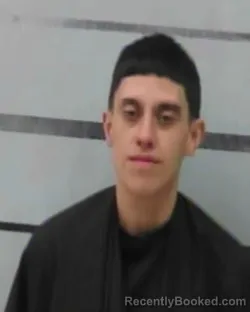 Mugshot of SHANTEL ALVAREZ